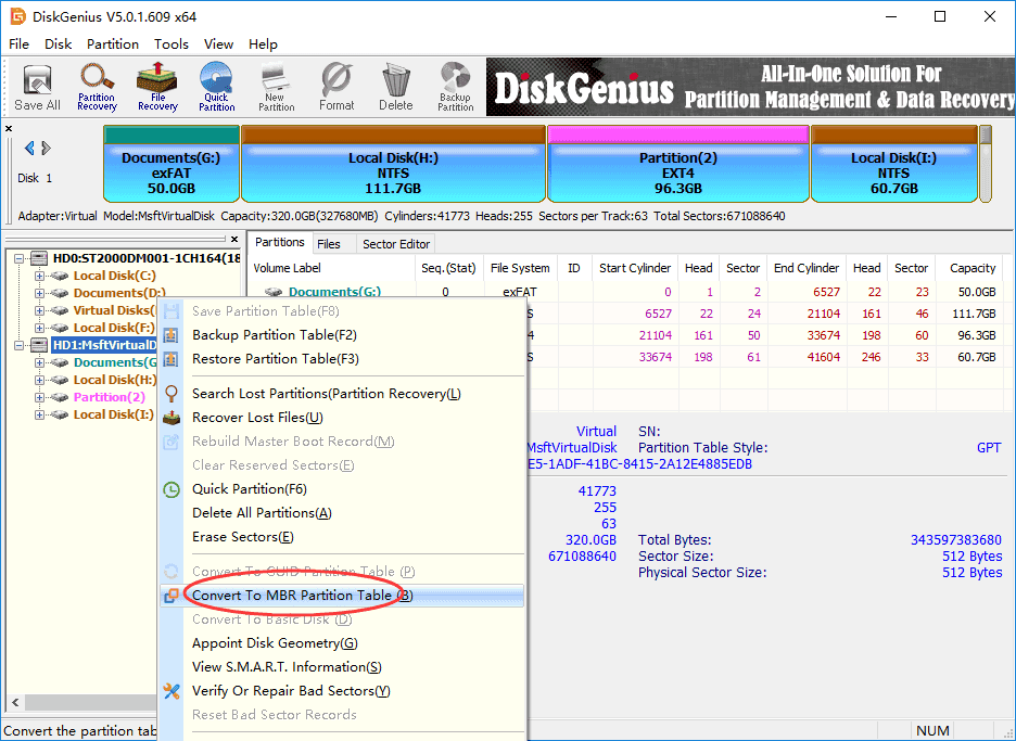 GPT Protective Partition