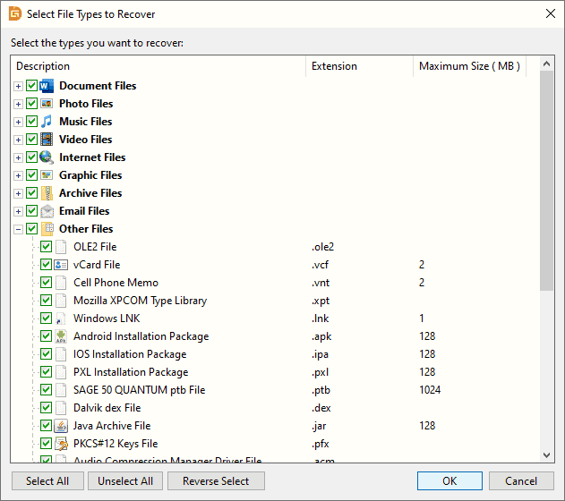 Recover Files By Type