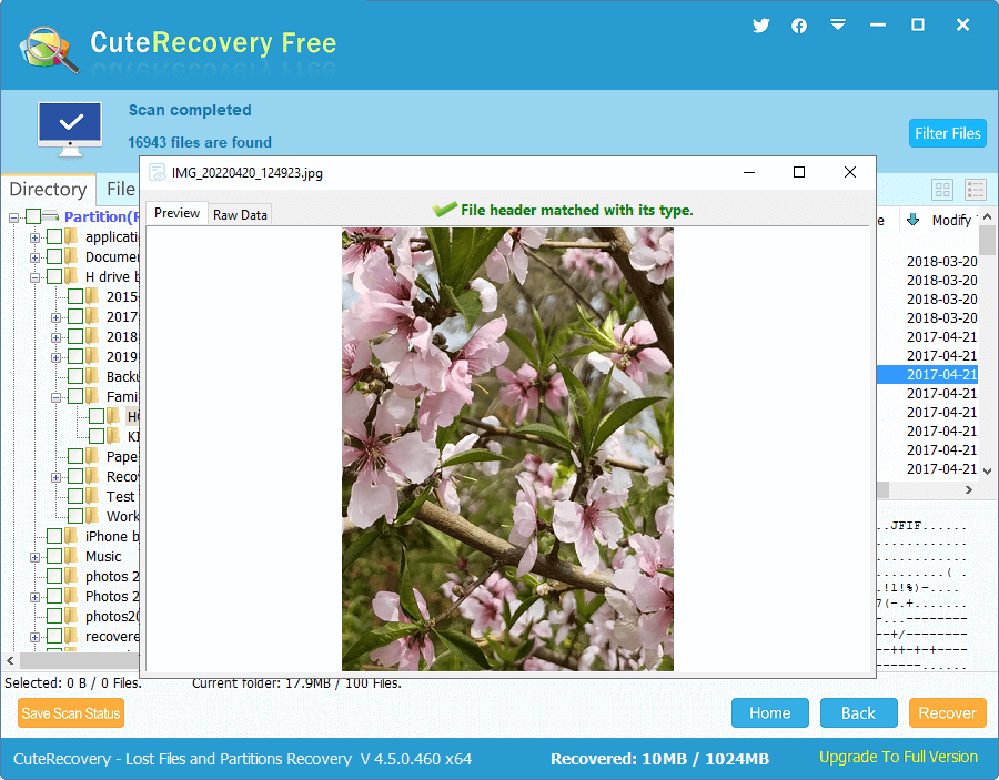 recover photos from SD card